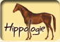 Cours d'hippologie